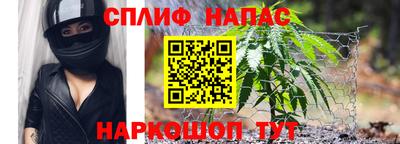 мет Кингисепп
