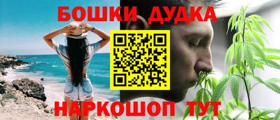 мет Кингисепп