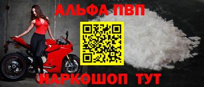 мет Кингисепп