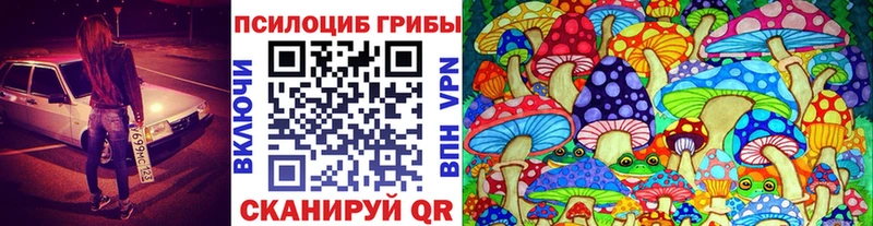Галлюциногенные грибы Psilocybe  цены наркотик  Котлас 