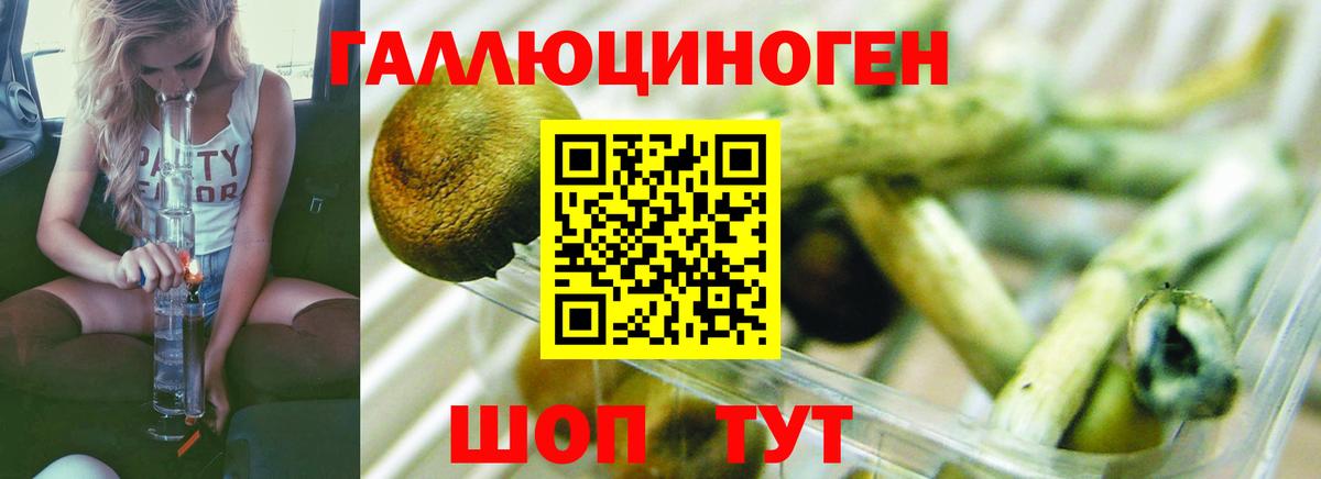 купить закладку  Галлюциногенные грибы GOLDEN TEACHER  Вход с VPN  Котлас 