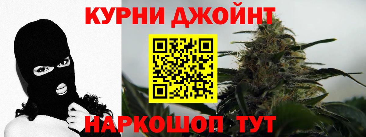 Бошки Шишки план Котлас